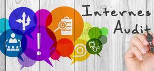 QM:Internes Audit 2022.jpg