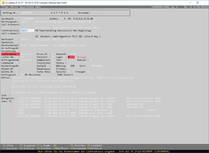 CSA - Auftragspositionen oeffnen - 003.png