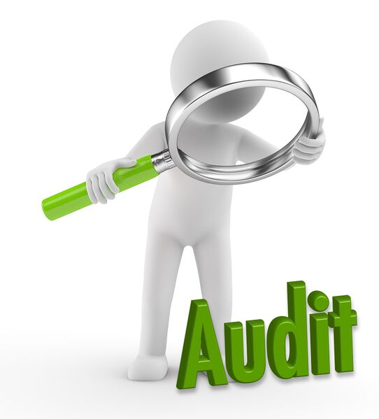 Datei:Figur Lupe Audit g.jpg