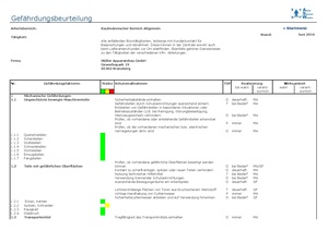 Gefaehrdungsbeurteilung kfm. Bereich inkl. Aussendienst.pdf